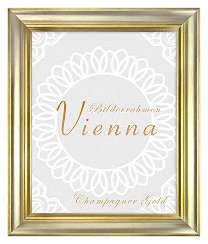 BIRAPA Bilderrahmen gold Vienna Rahmen 80x121 cm - Bilderrahmen vintage in Champagner Gold, Bilderrahmen Holz mit Zierleiste innen und außen, Fotorahmen, Holzrahmen von BIRAPA