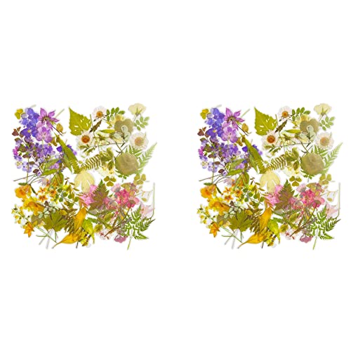 BLASHRD Vintage Blumen Sammelalbum Aufkleber Set, 320 Stücke, Dekorative Blumen Pflanzen Aufkleber für Sammelalbuming, Umschläge, DIY Kunsthandwerk von BLASHRD