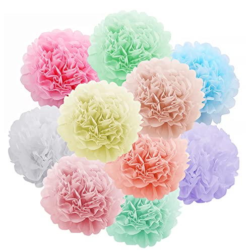 10 Stück Farbige Seidenpapier Blumen, Hochzeitsfestdekorationen Pom Pom Hängende Girlande Papierblumenball für Geburtstagsdekoration Baby Shower Hochzeitsfeierzubehör (10") von BLLREMIPSUR