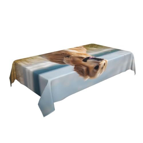 BNVSADC Golden Retriever am Strand, bedruckte rechteckige Tischdecke, 140 x 90 cm, knitterfreie Polyester-Tischdecke, dekorativer Stoff, Tischdecke für Küche, Esstisch, Partys, Camping von BNVSADC