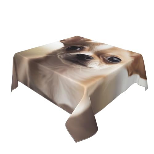 BNVSADC Lustige Tischdecke mit Chihuahua-Druck, quadratisch, 140 x 140 cm, knitterfreie Polyester-Tischdecke, dekorativer Stoff, Tischdecke für Küche, Esstisch, Partys, Camping von BNVSADC