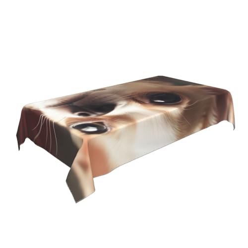 BNVSADC Rechteckige Tischdecke mit niedlichem Chihuahua-Druck, 140 x 90 cm, knitterfreie Polyester-Tischdecke, dekorativer Stoff, Tischdecke für Küche, Esstisch, Partys, Camping von BNVSADC