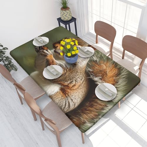 BNVSADC Tischdecke mit Eichhörnchen-Motiv, bedruckt, 122 x 76 cm, Polyester, wasserabweisend, Esstischdekoration, Tischdecken von BNVSADC