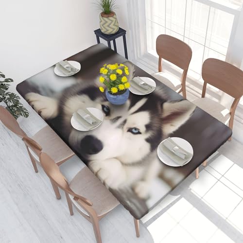 BNVSADC Tischdecke mit Husky-Motiv, bedruckt, 122 x 76 cm, Polyester, wasserabweisend, Esstischdekoration, Tischdecken von BNVSADC