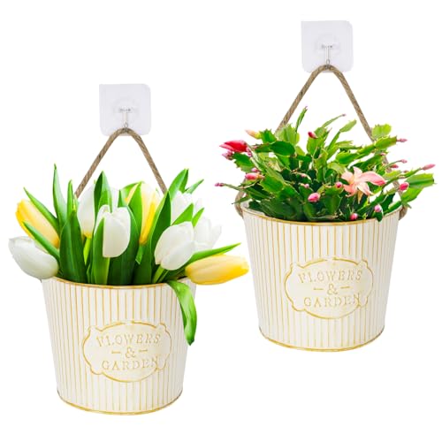 BOFUNX 2 Stücke Hängende Blumentöpfe Metall Vintage Blumentopf Hängeampel mit Juteseil Selbstklebend Haken für Blumen Pflanzen Wanddeko Gartendeko Wandvase von BOFUNX