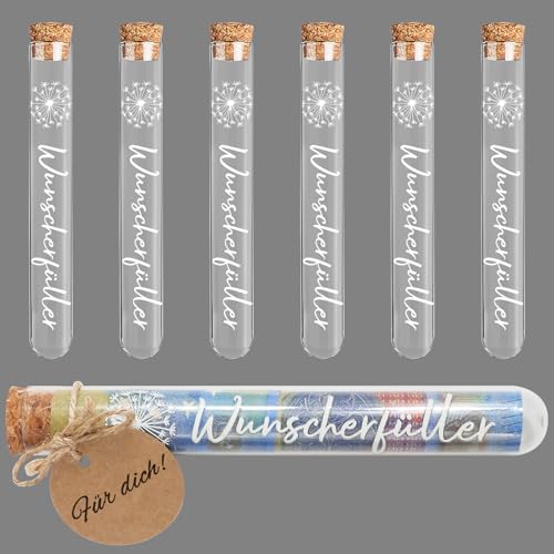 BOFUNX 6pcs Wunscherfüller Geldgeschenk Transparente Reagenzgläser mit Korken und 6pcs Wunscherfüller Löwenzahnmustern Anhänger für Taufe Geburtstag Konfirmation Kommunion Jugendweihe Hochzeit von BOFUNX