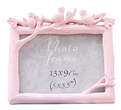 BOGAZY Fotorahmen Aus Holz Retro-Vogel-Harz-Fotorahmen, Kreativer Bilderrahmen, Desktop-Dekoration, Ornamente Rahmen Schmücken(Pink,7 inch) von BOGAZY