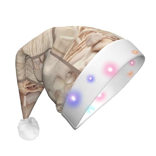 BREAUX Boot Strand Seestern Muschel Druck Flanell Nikolausmützen Unisex Weihnachten Nikolausmütze mit LED-Lichtern Plüsch Kappe von BREAUX