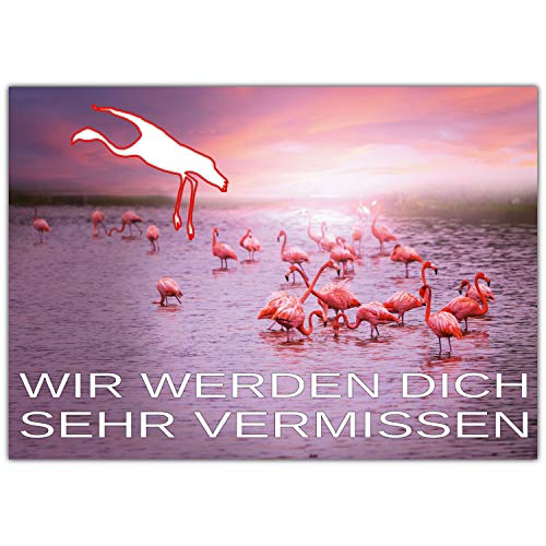 A4 XXL Abschiedskarte FLAMINGOS mit Umschlag - edle Klappkarte für Kollegen zur Rente Pension Jobwechsel Mutterschutz Ruhestand Karte von BREITENWERK von BREITENWERK