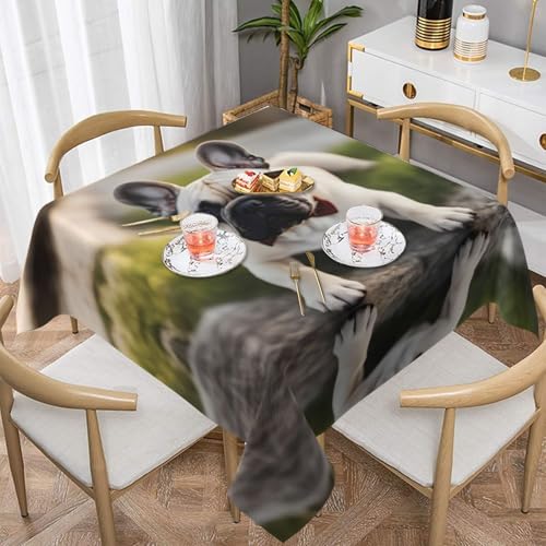 BROLEO Wasserdichte dekorative Tischdecke, 137 x 137 cm, quadratisch, warm und weich, gute Faltenbeständigkeit, waschbar und wiederverwendbar, Motiv: Französische Bulldogge von BROLEO