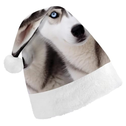 BTCOWZRV Husky Dog Weihnachtsmütze, Unisex, Samt, Weihnachtsmannmütze, Weihnachtsmütze für Erwachsene, Neujahr, Party, Kopfbedeckung von BTCOWZRV