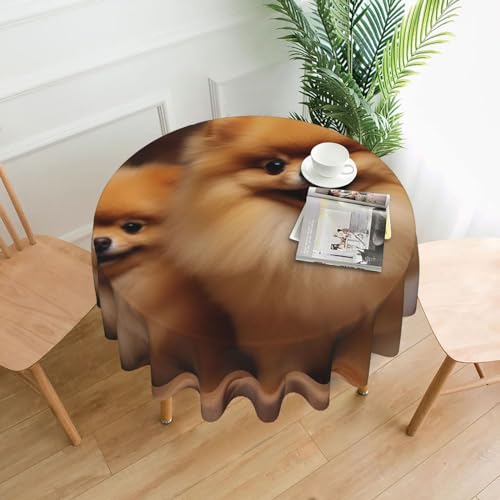 BTCOWZRV Tischdecke mit gelbem Pomeranian-Druck, wasserdicht, öldicht, 152,4 cm, maschinenwaschbar, runde Tischdecke für Party, Küche, Esszimmer, Außen- und Innenbereich, 152,4 cm von BTCOWZRV