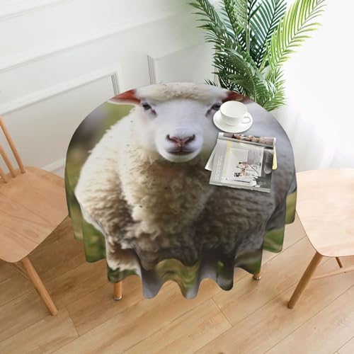 BTCOWZRV Tischdecke mit niedlichem Schaf-Lamm-Druck, wasserdicht, öldicht, maschinenwaschbar, runde Tischdecke für Party, Küche, Esszimmer, Außen- und Innenbereich, 152,4 cm von BTCOWZRV