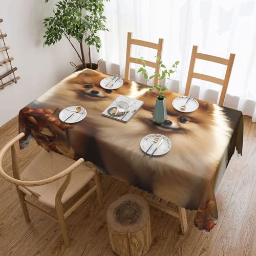 BTCOWZRV Tischdecke mit süßem Zwergspitz-Druck, wasserdicht, öldicht, maschinenwaschbar, rechteckig, Tischdecke für Party, Küche, Esszimmer, Außen- und Innenbereich, 137 x 183 cm von BTCOWZRV