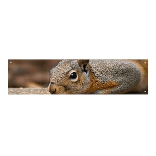 Squirrel Just Laying Banner und Schilder, Party-Hintergründe, Wandbehang, Flaggen, Fototext, Hintergrund, großes Partybanner mit 4 Löchern, Wanddekoration für drinnen und draußen, 30 x 120 cm von BTCOWZRV