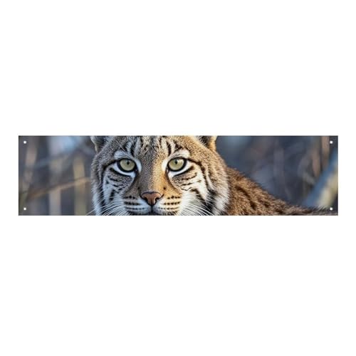 Wilder Bobcat-Banner und Schilder, Party-Hintergründe, Wandbehang, Flaggen, Fototext, Hintergrund, großes Partybanner mit 4 Löchern, Wanddekoration für drinnen und draußen, 30 x 120 cm von BTCOWZRV