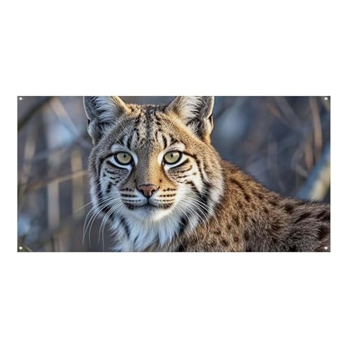 Wilder Bobcat-Banner und Schilder, Party-Hintergründe, Wandbehang, Flaggen, Fototext, Hintergrund, großes Partybanner mit 4 Löchern, Wanddekoration für drinnen und draußen, 89,9 x 180,1 cm von BTCOWZRV