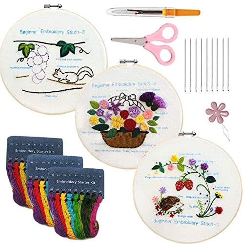 BTGHPI Stickerei-Starter-Sets für Anfänger enthalten Stickkleidung mit Blumenmuster Anleitung (evtl. nicht in deutscher Sprache) von BTGHPI