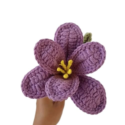 BTYQKZVPM，Häkelblumen,Gestrickte Blumen， Artificial Tulips Bouquet Handmade Wool Crochet Flower Plants Home Garden Decorative Ornament(E) von BTYQKZVPM