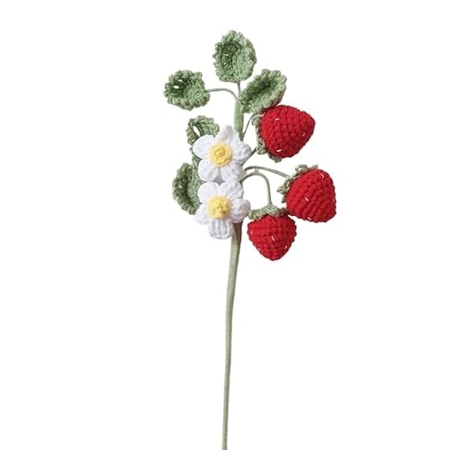 BTYQKZVPM，Häkelblumen,Gestrickte Blumen， Hand Knitted Fruit Flower Faux Fruit Bouquet Handmade DIY Flower Bedroom Living Room Party Decoration(1) von BTYQKZVPM