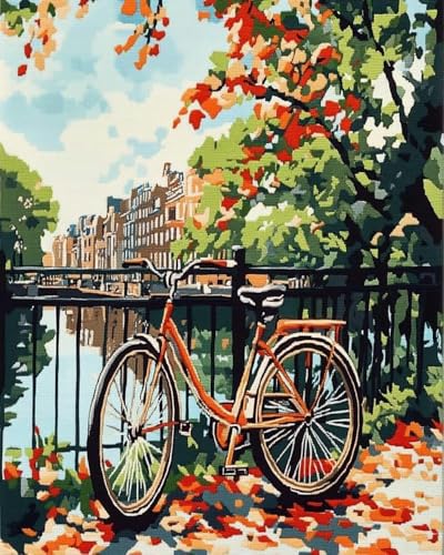 BUANJIAJU Vergessenes Fahrrad am Fluss. Umfassendes Stick-Starter-Set für erwachsene Anfänger mit Baumwollfaden und farbig gedrucktem Muster 11CT-40X50CM von BUANJIAJU