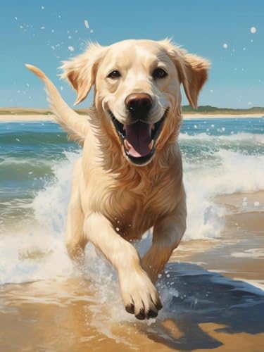 Kreuzstich-Set – Golden Retriever-Muster, das im Wasser spielt – DIY-Stickset für erwachsene Anfänger mit Baumwollstoff und -fäden, enthält Baumwollfäden und farbig gedrucktes Muster .40X50CM von BUANJIAJU