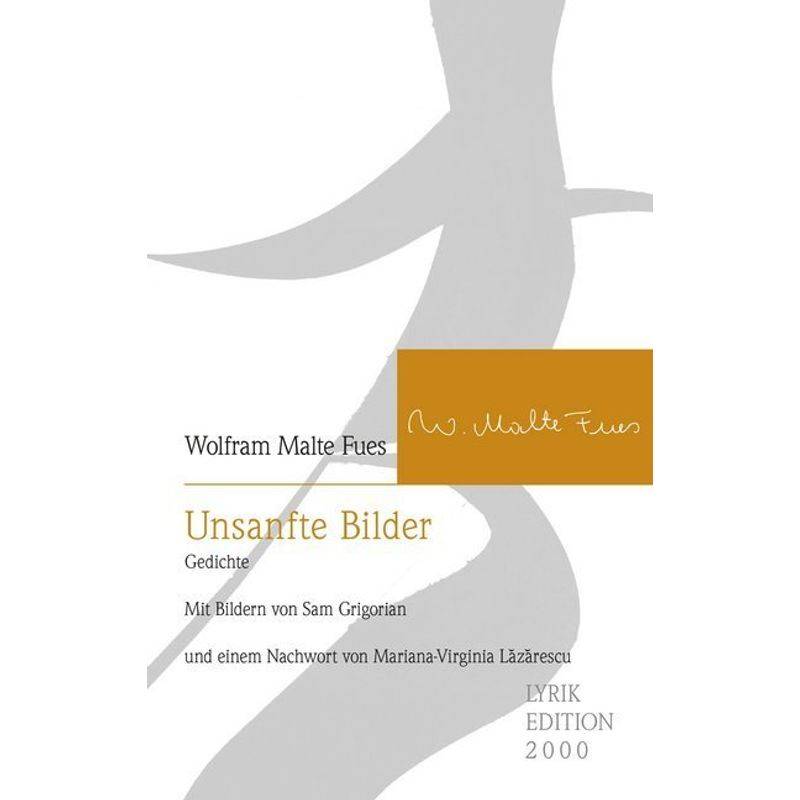 Unsanfte Bilder - Wolfram Malte Fues, Kartoniert (TB) von BUCH & media