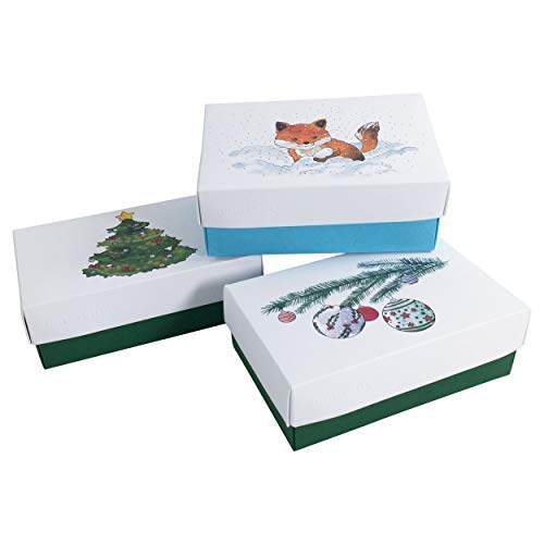 BUNTBOX 2009-26 - Kartonagenset "Weihnachts-Aquarell", Größe M, 3 Stück von Buntbox