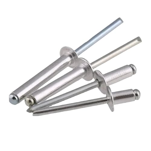 304Aluminium Dome Rundkopf Pop Open Hollow Pull Blindnieten Bolzen Selbststeckende Niete Dekoration Nagel Rebite(100Pcs (M2.4),25mm) von BUUV