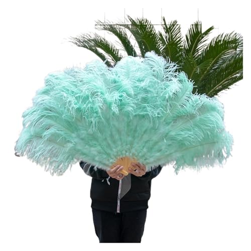 BWKFCMS Feder TanzfäCher 13 Knochen Straußenfedern Fan Karneval Party Hochzeit Feier Bauchtanz Show DIY Dekoration Mint Grün Plumes Fan von BWKFCMS