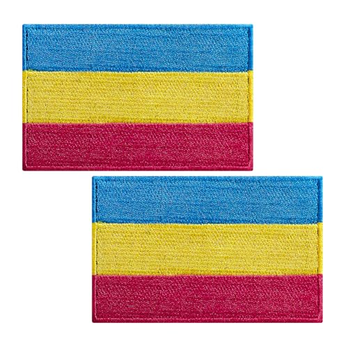 BWXBWX Pansexual Flags Patch Pride Rainbow Flag Embroidered Patches LGBTQ Gay Flags Military Tactical Patch 2Pack (Made in USA) von BWXBWX