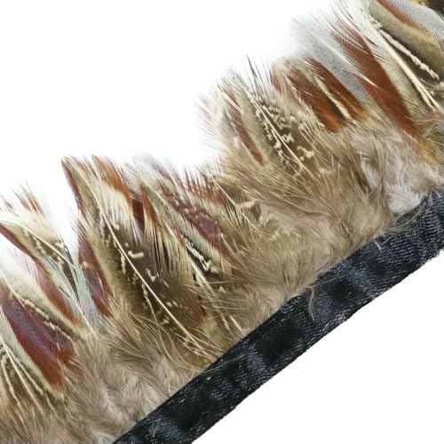 1 Meter natürliche Fasanenfedern, Besatz, Huhn, Pfauenfeder, Fransen für Kostüm, Kleidung, Nähen, Hochzeitszubehör 1 Meter natürliche Fasanenfedern, Besatz, Huhn, Pfauenfeder, Fransen für Kostüm, Kleidung, Nähen, Hochzeitszubehör von BXVXWKJXKR