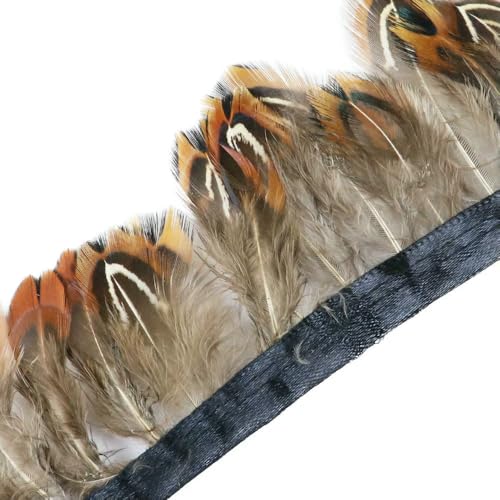 1 Meter natürliche Fasanenfedern, Besatz, Huhn, Pfauenfeder, Fransen für Kostüm, Kleidung, Nähen, Hochzeitszubehör 1 Meter natürliche Fasanenfedern, Besatz, Huhn, Pfauenfeder, Fransen für Kostüm, Kleidung, Nähen, Hochzeitszubehör von BXVXWKJXKR