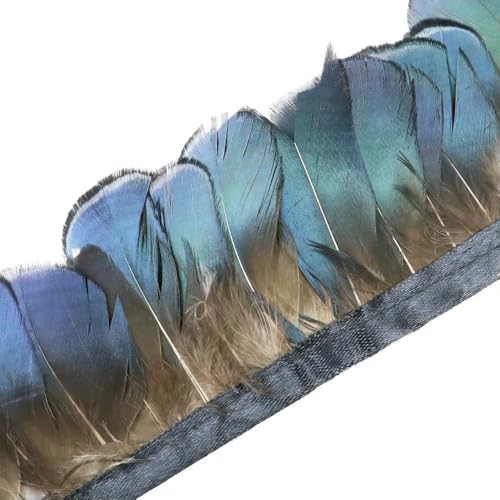 1 Meter natürliche Fasanenfedern, Besatz, Huhn, Pfauenfeder, Fransen für Kostüm, Kleidung, Nähen, Hochzeitszubehör 1 Meter natürliche Fasanenfedern, Besatz, Huhn, Pfauenfeder, Fransen für Kostüm, Kleidung, Nähen, Hochzeitszubehör von BXVXWKJXKR