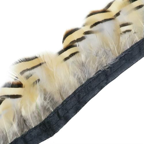1 Meter natürliche Fasanenfedern, Besatz, Huhn, Pfauenfeder, Fransen für Kostüm, Kleidung, Nähen, Hochzeitszubehör 1 Meter natürliche Fasanenfedern, Besatz, Huhn, Pfauenfeder, Fransen für Kostüm, Kleidung, Nähen, Hochzeitszubehör von BXVXWKJXKR