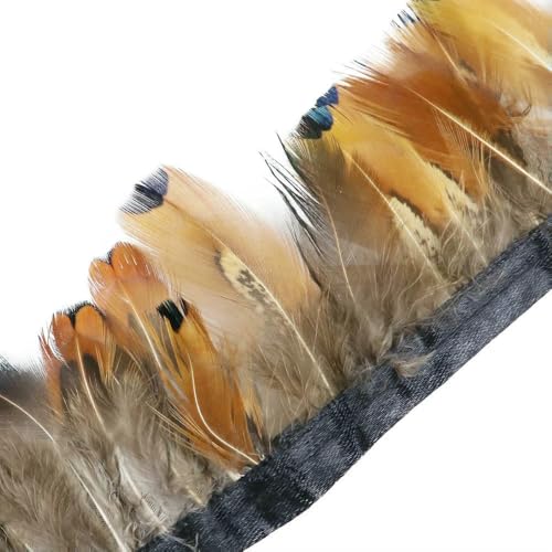 1 Meter natürliche Fasanenfedern, Besatz, Huhn, Pfauenfeder, Fransen für Kostüm, Kleidung, Nähen, Hochzeitszubehör 1 Meter natürliche Fasanenfedern, Besatz, Huhn, Pfauenfeder, Fransen für Kostüm, Kleidung, Nähen, Hochzeitszubehör von BXVXWKJXKR