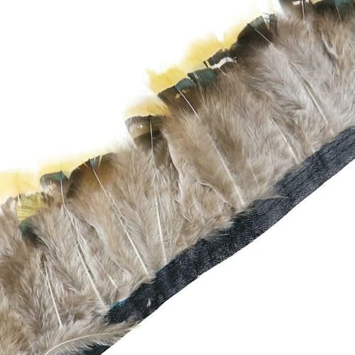 1 Meter natürliche Fasanenfedern, Besatz, Huhn, Pfauenfeder, Fransen für Kostüm, Kleidung, Nähen, Hochzeitszubehör 1 Meter natürliche Fasanenfedern, Besatz, Huhn, Pfauenfeder, Fransen für Kostüm, Kleidung, Nähen, Hochzeitszubehör von BXVXWKJXKR