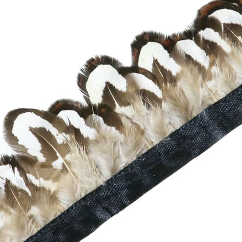 1 Meter natürliche Fasanenfedern, Besatz, Huhn, Pfauenfeder, Fransen für Kostüm, Kleidung, Nähen, Hochzeitszubehör 1 Meter natürliche Fasanenfedern, Besatz, Huhn, Pfauenfeder, Fransen für Kostüm, Kleidung, Nähen, Hochzeitszubehör von BXVXWKJXKR
