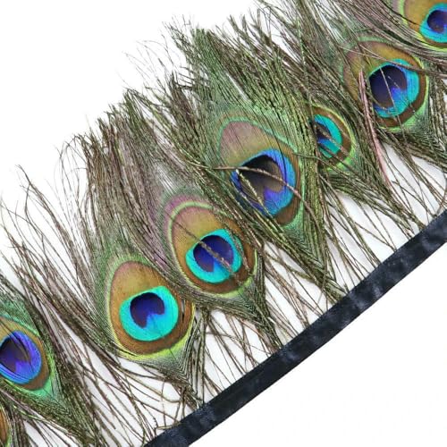 1 Meter natürliche Fasanenfedern, Besatz, Huhn, Pfauenfeder, Fransen für Kostüm, Kleidung, Nähen, Hochzeitszubehör 1 Meter natürliche Fasanenfedern, Besatz, Huhn, Pfauenfeder, Fransen für Kostüm, Kleidung, Nähen, Hochzeitszubehör von BXVXWKJXKR