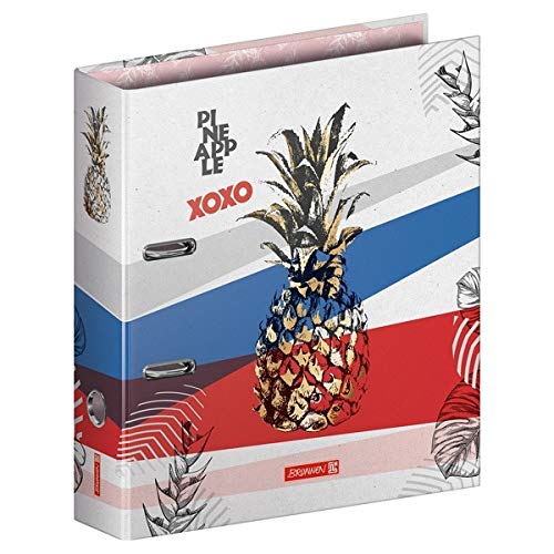 BRUNNEN Ordner A4 8cm RVS Pineapple von Baier & Schneider