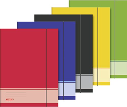 Baier & Schneider Brunnen 1047023 Sammelmappe (A3, Karton, mit Gummizug) sortiert von Baier & Schneider