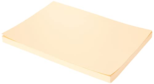 Tonpapier A4 Folia 100 Blatt 08 beige von Baker Ross