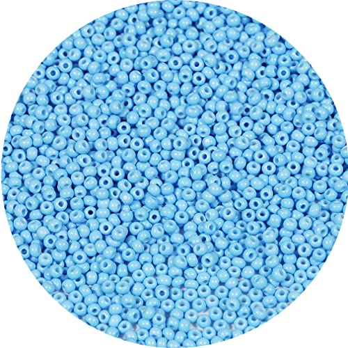 Bala&Fillic 2mm Round Size Uniform Seed Beads 9000pcs/100 Grams in Bag, 12/0 Light Blue Seed Beads Small Craft Seed Beads for Making Jewelry Earring Bracelets necklace (Light Blue) von Bala&Fillic