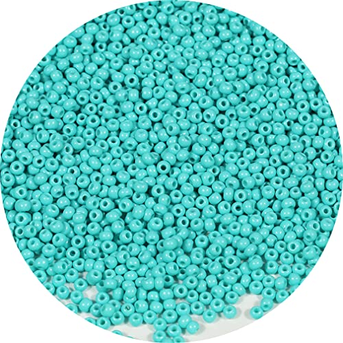 Bala&Fillic 2mm Round Size Uniform Seed Beads 9000pcs/100 Grams in Bag, 12/0 Turquoise Green Seed Beads Small Craft Seed Beads for Making Jewelry Earring Bracelets necklace (Turquoise Green) von Bala&Fillic