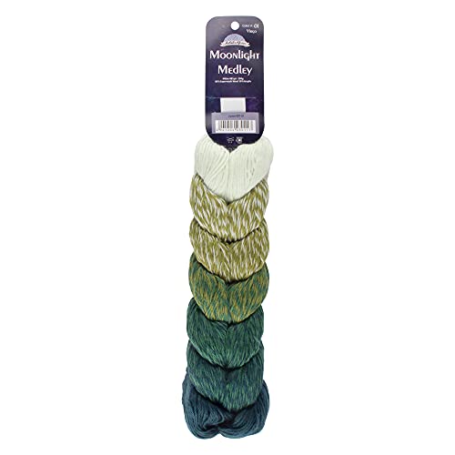 JubileeYarn Moonlight Medley Garn, Ombré-DK-Gewicht, Merinowolle/Acryl, 200 g/Strang, Jungfrau, 1 Knäuel von BambooMN