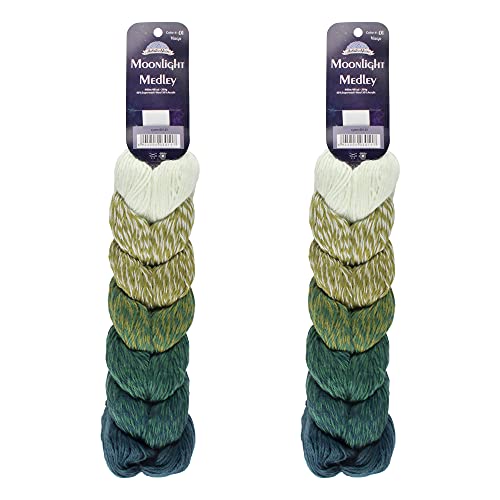 JubileeYarn Moonlight Medley Garn – Ombre DK Gewicht Merinowolle/Acryl – 200 g/Strang, Jungfrau, 2 Knäuel von BambooMN