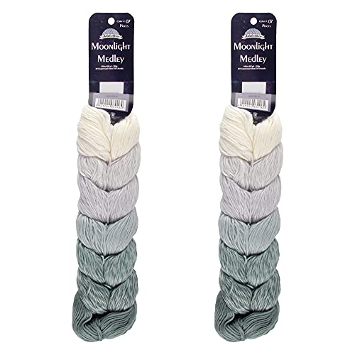 JubileeYarn Moonlight Medley Garn – Ombre DK Gewicht Merinowolle/Acryl – 200 g – Fische – 2 Knäuel von BambooMN