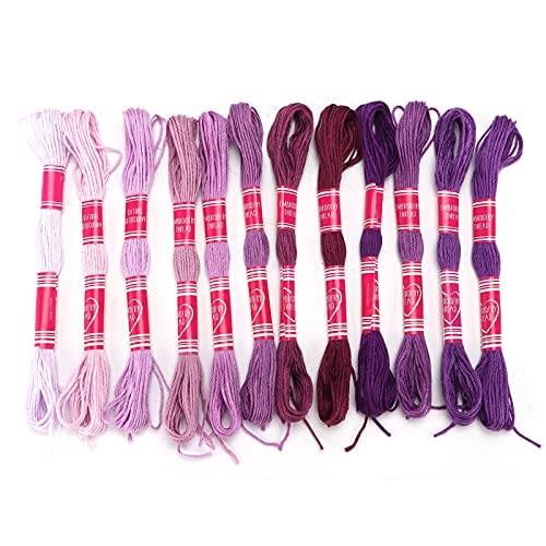 Baxnore 12-teiliges Stickgarn-Set, Sticktwist, Freundschaftsarmband-Fäden, Polyester-Linie mit Farbverlauf, leuchtenden Farben, Bastelgarn für Stickerei-Kunsthandwerk (Purple) von Baxnore