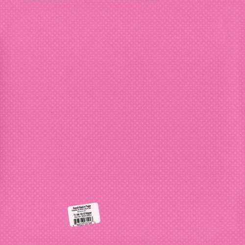 American Crafts Bazzill Basics 25 Blatt Papier für Scrapbooking, red_p Bazzill Leinwand-Textur Rose von American Crafts