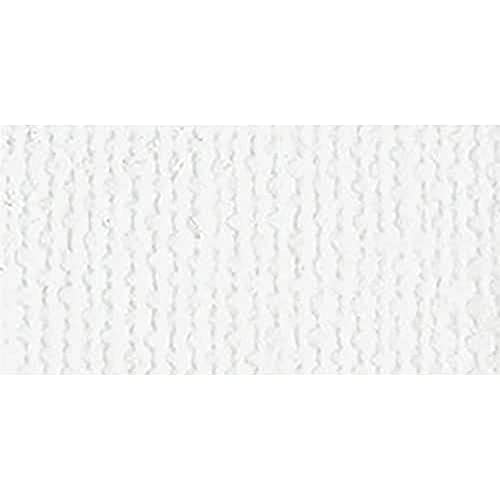 Bazzill Basics Paper Bazzill Basics weiß Leinwand 30,5 x 30,5 cm tonkartons Bulk (Pack von 25 Blatt), 30.5 x 30.5 cm von Bazzill